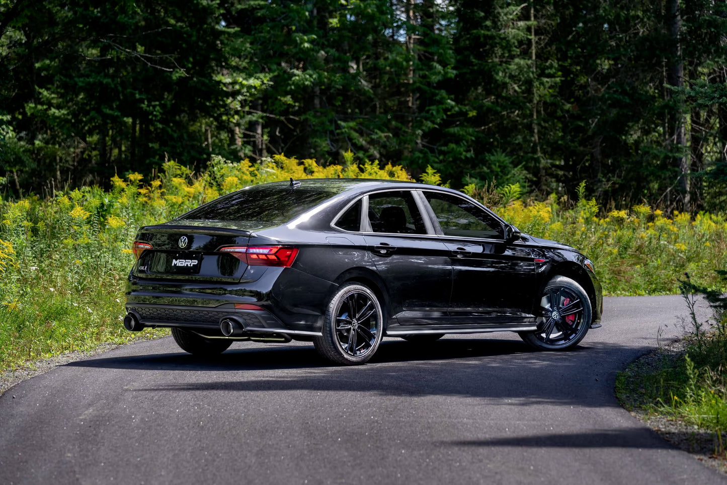MBRP - ARMOR PRO Cat-Back Stainless Exhaust System - Carbon Fiber Tips