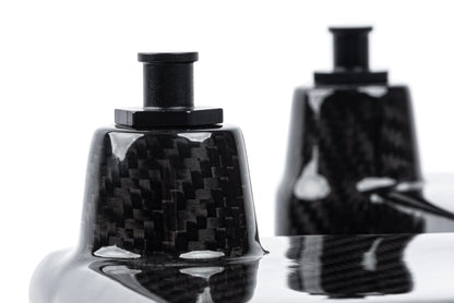APR - Carbon Fiber Intake - 2.9T RS4/RS5 (B9)