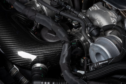 APR - Carbon Fiber Intake - 2.9T RS4/RS5 (B9)