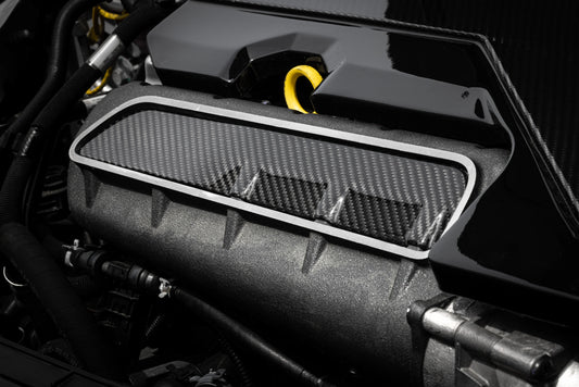 APR - Carbon Fiber Intake Manifold Cover Plate - 2.5T
