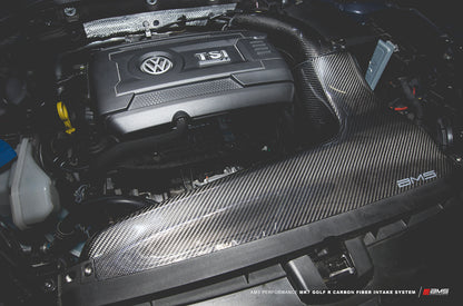 AMS Performance - Carbon Fiber Intake System - 2015-2019 VW Golf R MK7