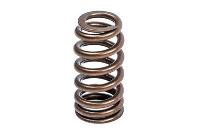 APR - Valve Spring Kit (1 Set)